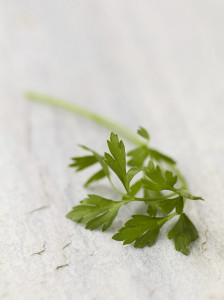 parsley