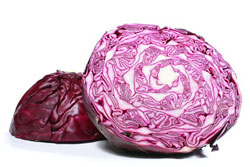 Cabbage: Red