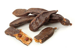 Carob (boxer )