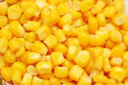Corn: Kernels Frozen or Canned 
